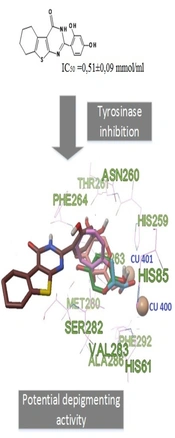 Iran J Pharm Res